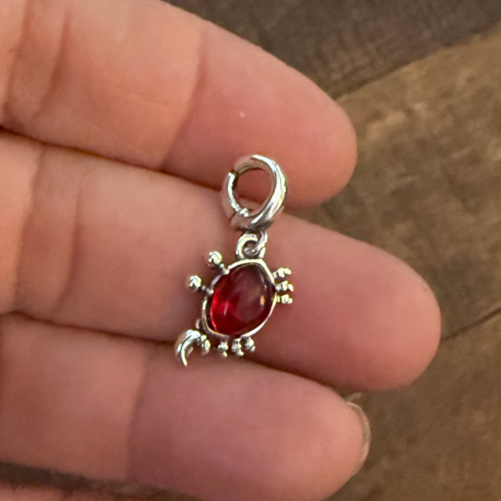 Elegant Silver And Red Lizard Brooch